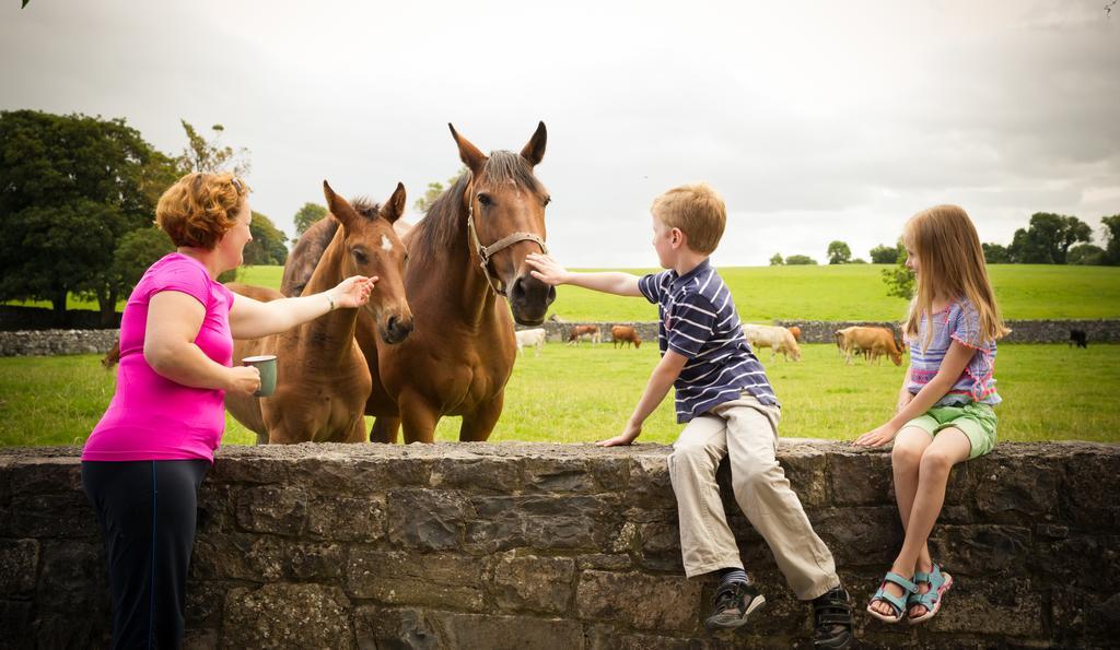 Cahergal Farmhouse B&B Newmarket-on-Fergus Oda fotoğraf