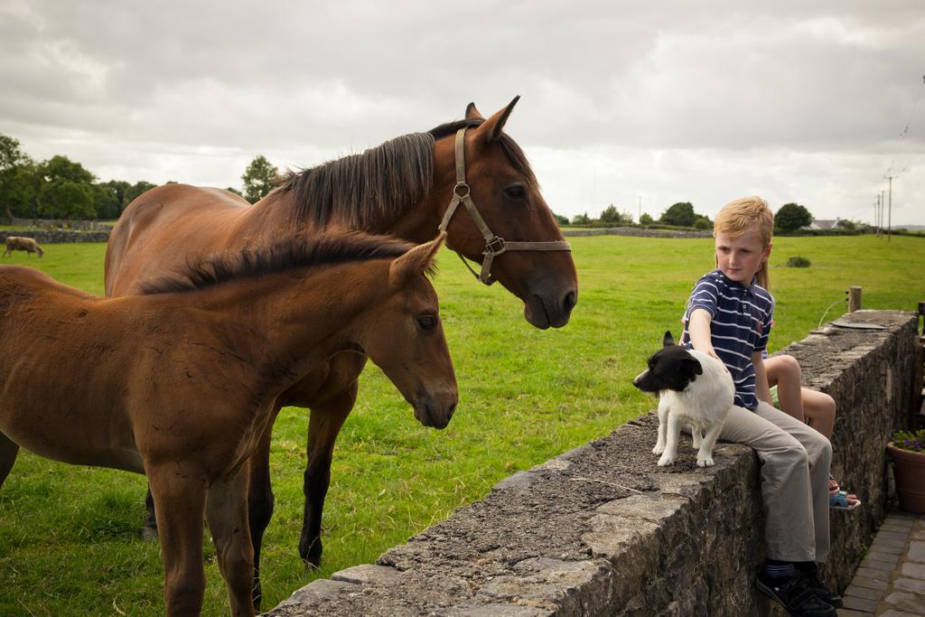 Cahergal Farmhouse B&B Newmarket-on-Fergus Dış mekan fotoğraf