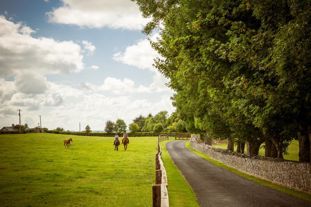 Cahergal Farmhouse B&B Newmarket-on-Fergus Dış mekan fotoğraf
