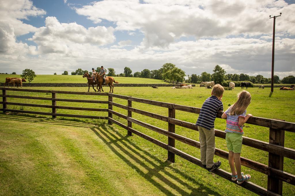 Cahergal Farmhouse B&B Newmarket-on-Fergus Dış mekan fotoğraf